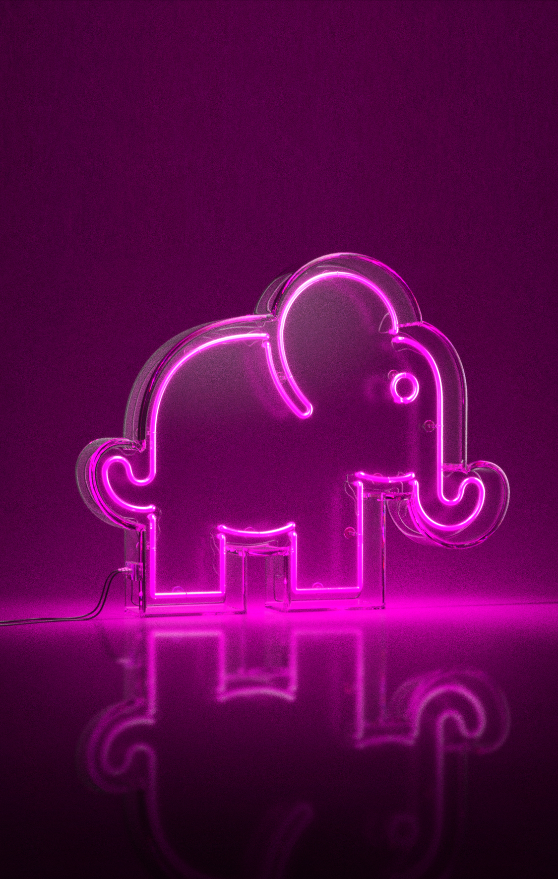 Contacto Elefante Rosa Producciones